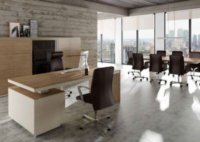 Modernūs darbo kambario baldai Versus Plus 4