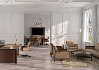 Modernios klasikos ofiso sofos kėdės Ilius 3