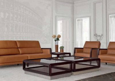 Modernios kalsikos sofa 1729