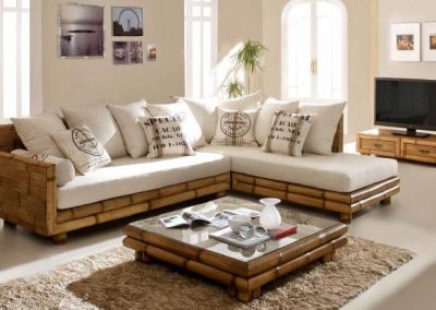Modernios klasikos sofa Tsu