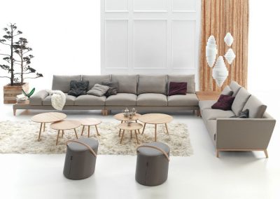 Modernūs minkšti svetainės baldai sofa Slim 1