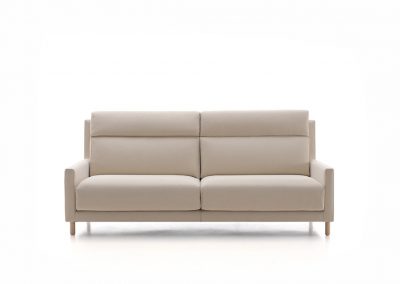 Modernūs minkšti svetainės baldai sofa Soul