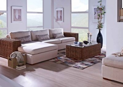 Modernūs minkšti svetainės baldai sofa Carneige 1