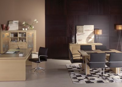 Modernios klasikos darbo kambario baldai Argos office 8