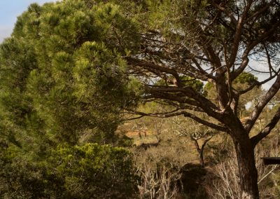 Modernūs lauko baldai gultas Up 3