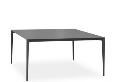 Modernūs lauko baldai stalas Nude 7