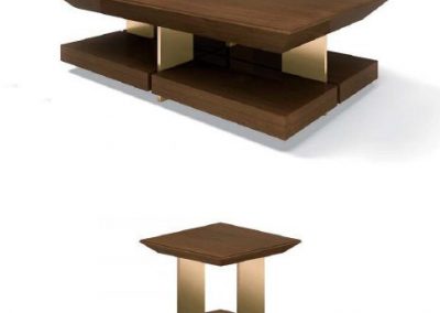 Modernūs svetainės baldai Evolution Coral 12