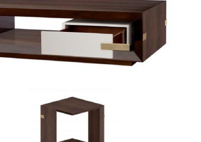 Modernūs svetainės baldai Evolution Coral 14