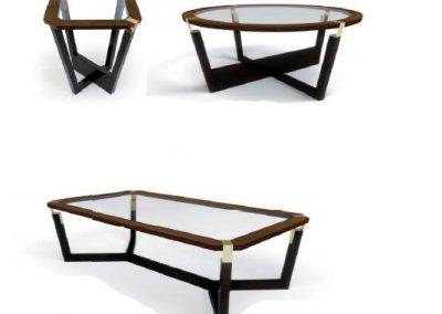 Modernūs svetainės baldai Evolution Coral 18