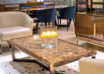 Modernūs svetainės baldai Evolution Coral 21