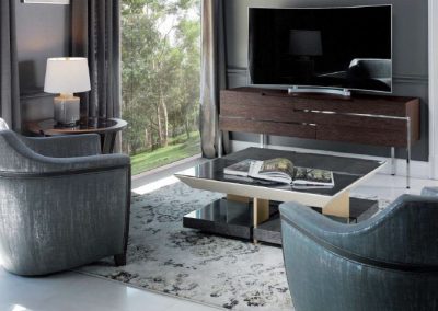 Modernūs svetainės baldai Evolution Coral 4