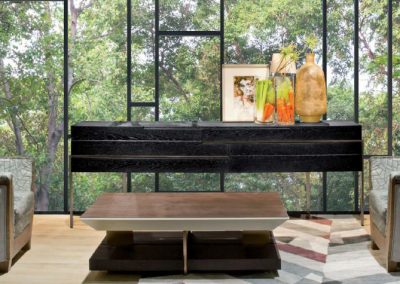 Modernūs svetainės baldai Evolution Coral 9