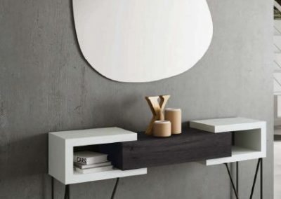 Modernūs prieškambario baldai Concept 45
