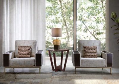 Modernūs svetainės baldai Evolution Coral 26