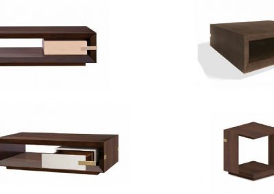 Modernūs svetainės baldai Evolution Coral 42