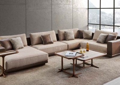 Modernūs minkšti svetainės baldai sofa1756.1