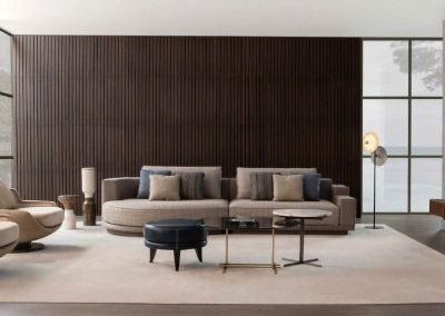 Modernūs minkšti svetainės baldai sofa1756.5